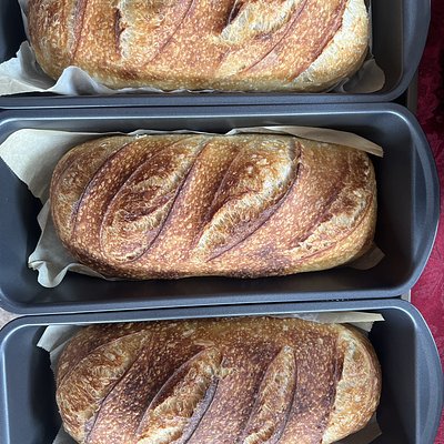 Classic Sourdough Sandwich Bread (24 oz) 酸种三明治面包