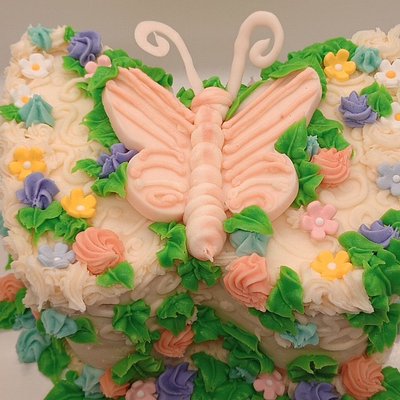 Creative Freedom Cake (6 inch 2 Layer Round) 