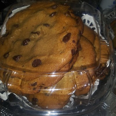 Turtle Cookies 