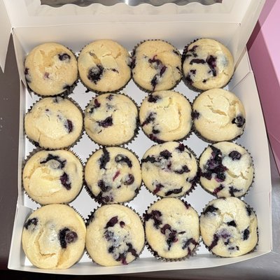 Mini Blueberry Cheesecake Muffins 