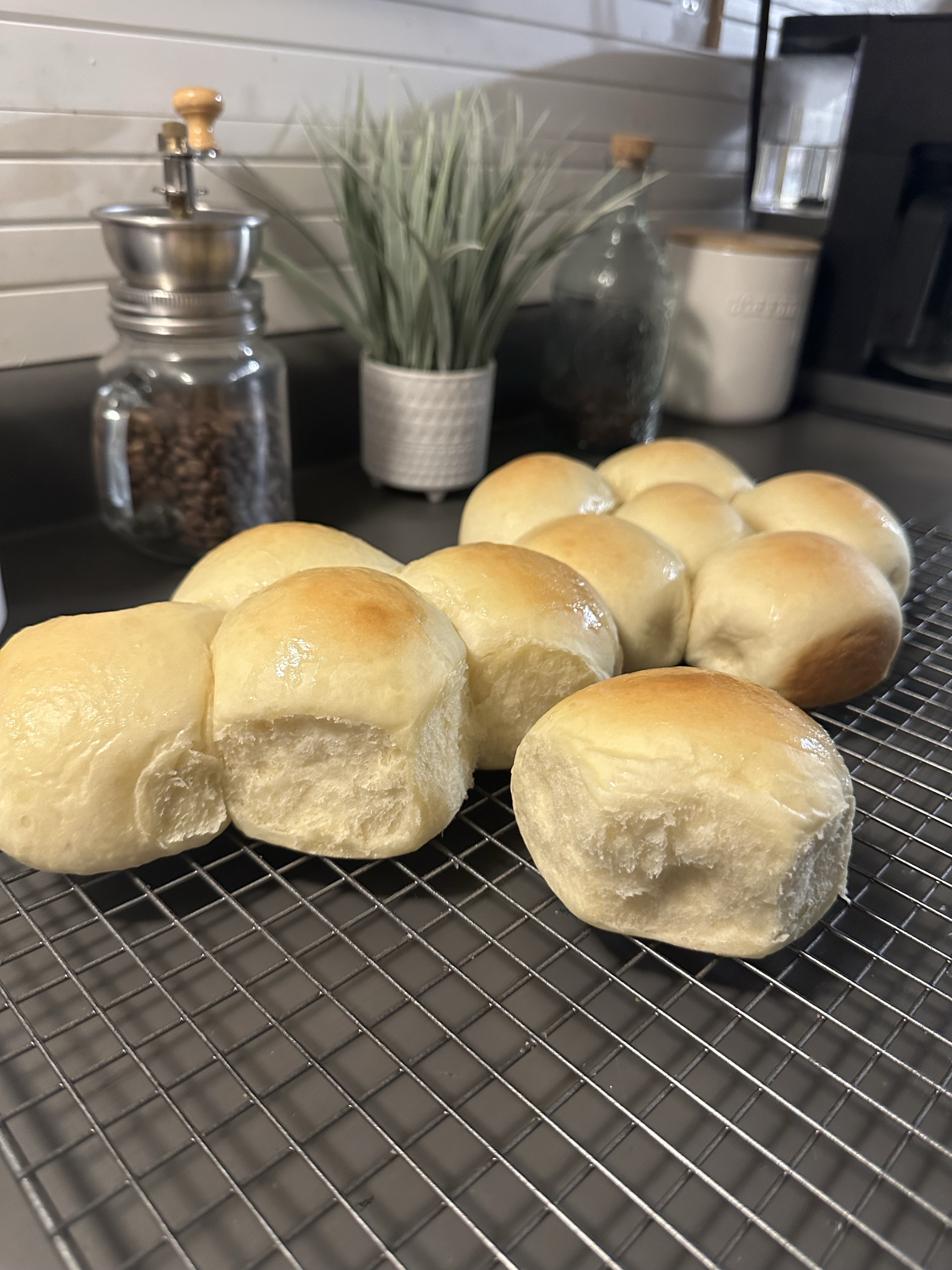 Full Dozen - Dinner Rolls 