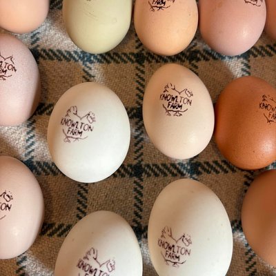 Farm Fresh Eggs