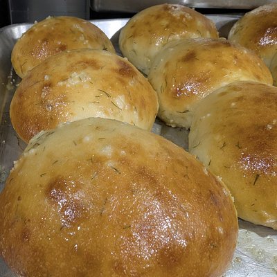 Hi Protein Dill Rolls