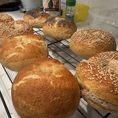 Yeasted Bagels