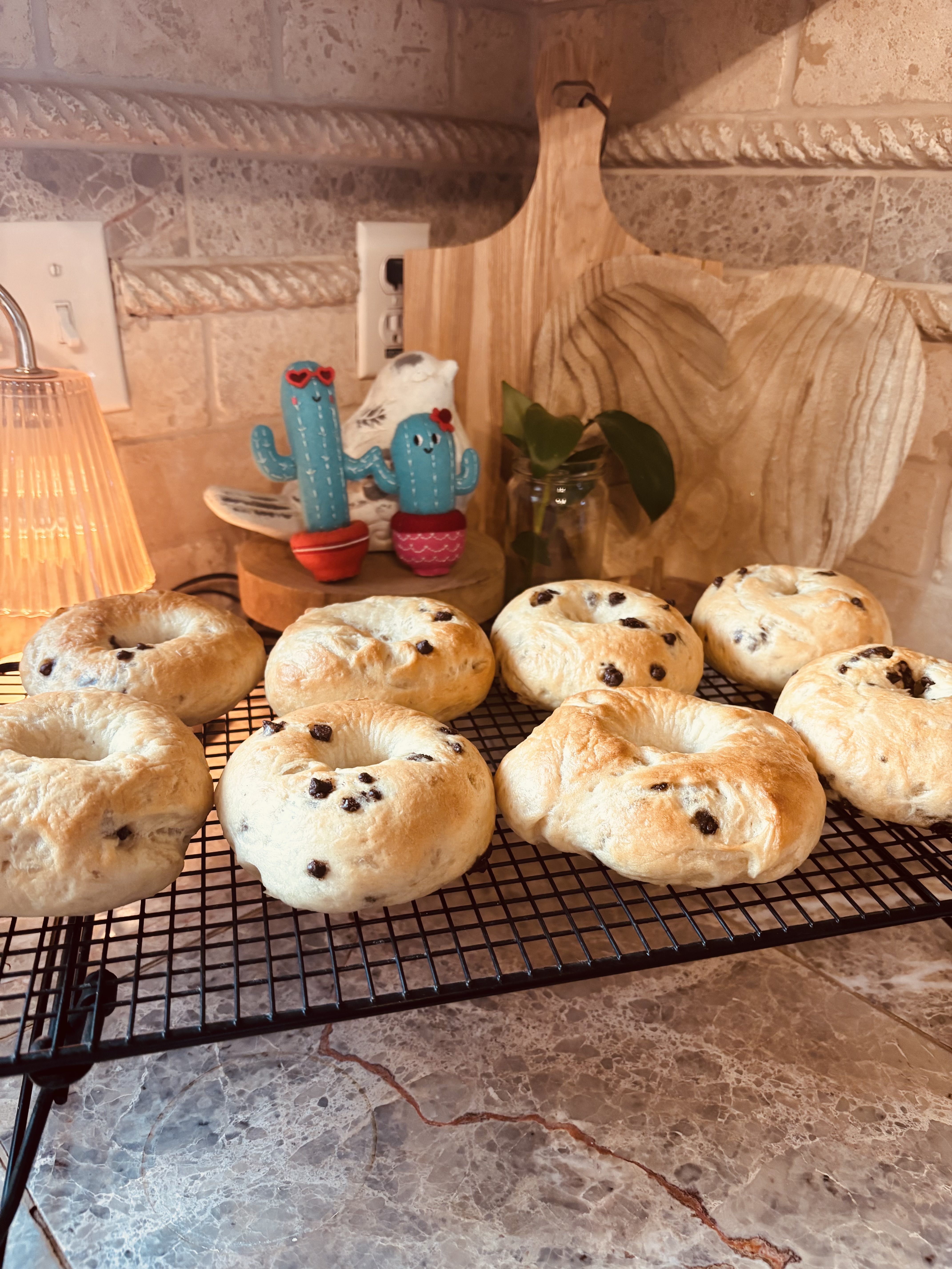 Bagels Set Of 6