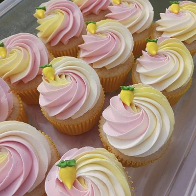 Regular Size Cupcakes 