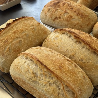 Classic Sourdough Loaf