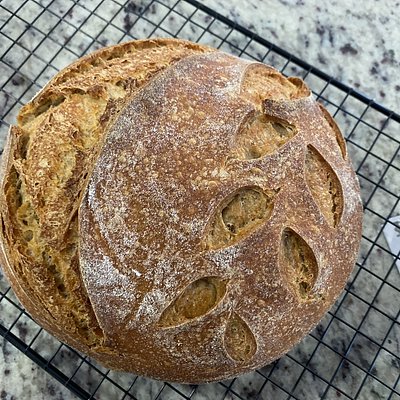 Whole Wheat Sourdough Bread