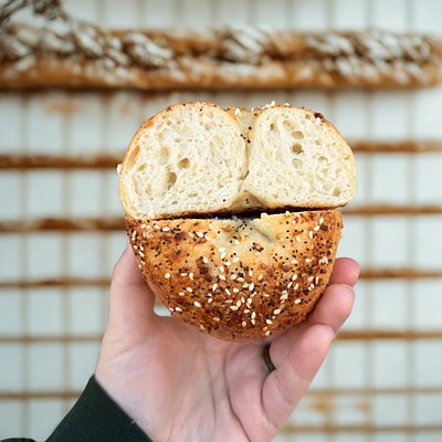 Sourdough Protein Bagels