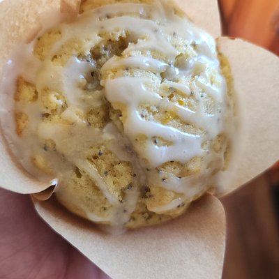 Lemon Poppy Seed Sourdough Muffins (4)