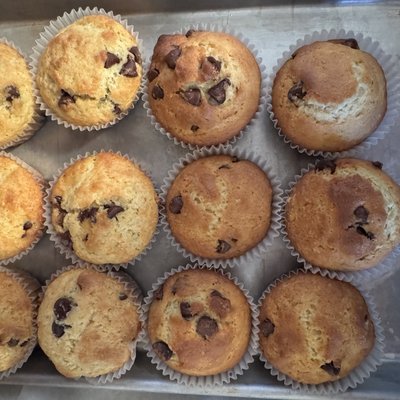 Chocolate Chip Muffins