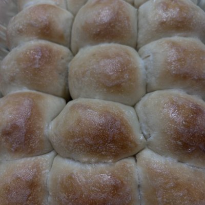 Sourdough Dinner Rolls