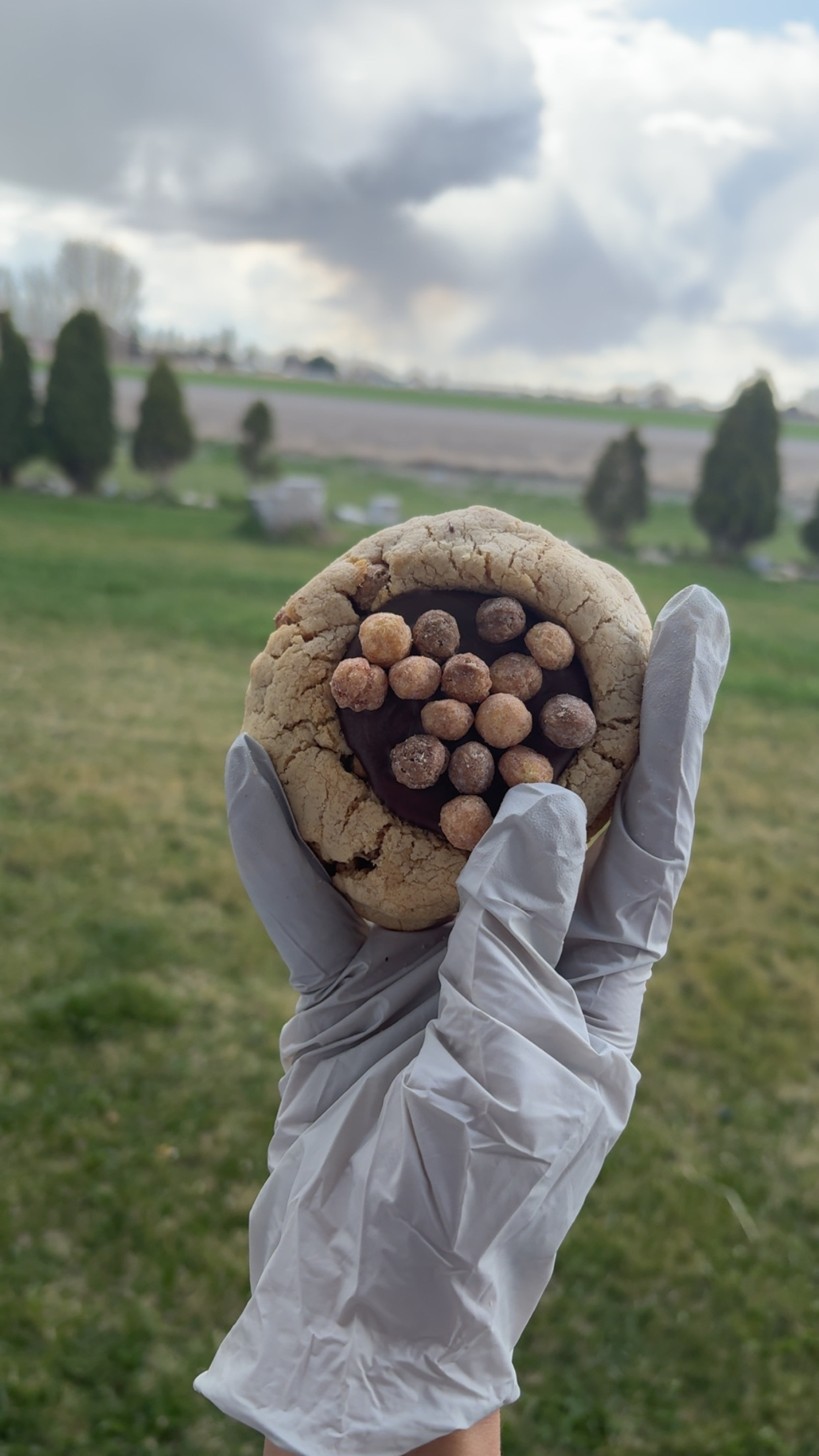 Reeces Puffs 
