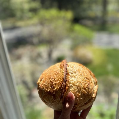 Mini Organic Original Sourdough Loaf