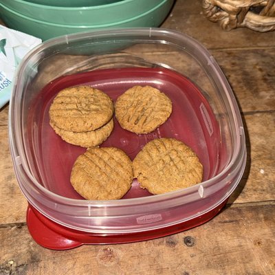 Sugar Free Peanut Butter Cookies