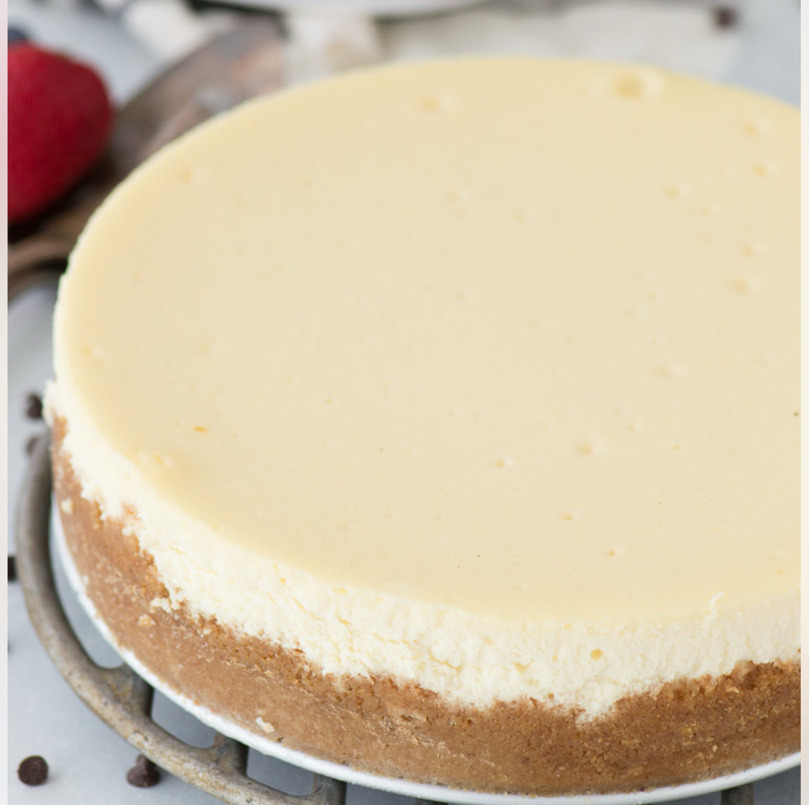 Plain Cheesecake 