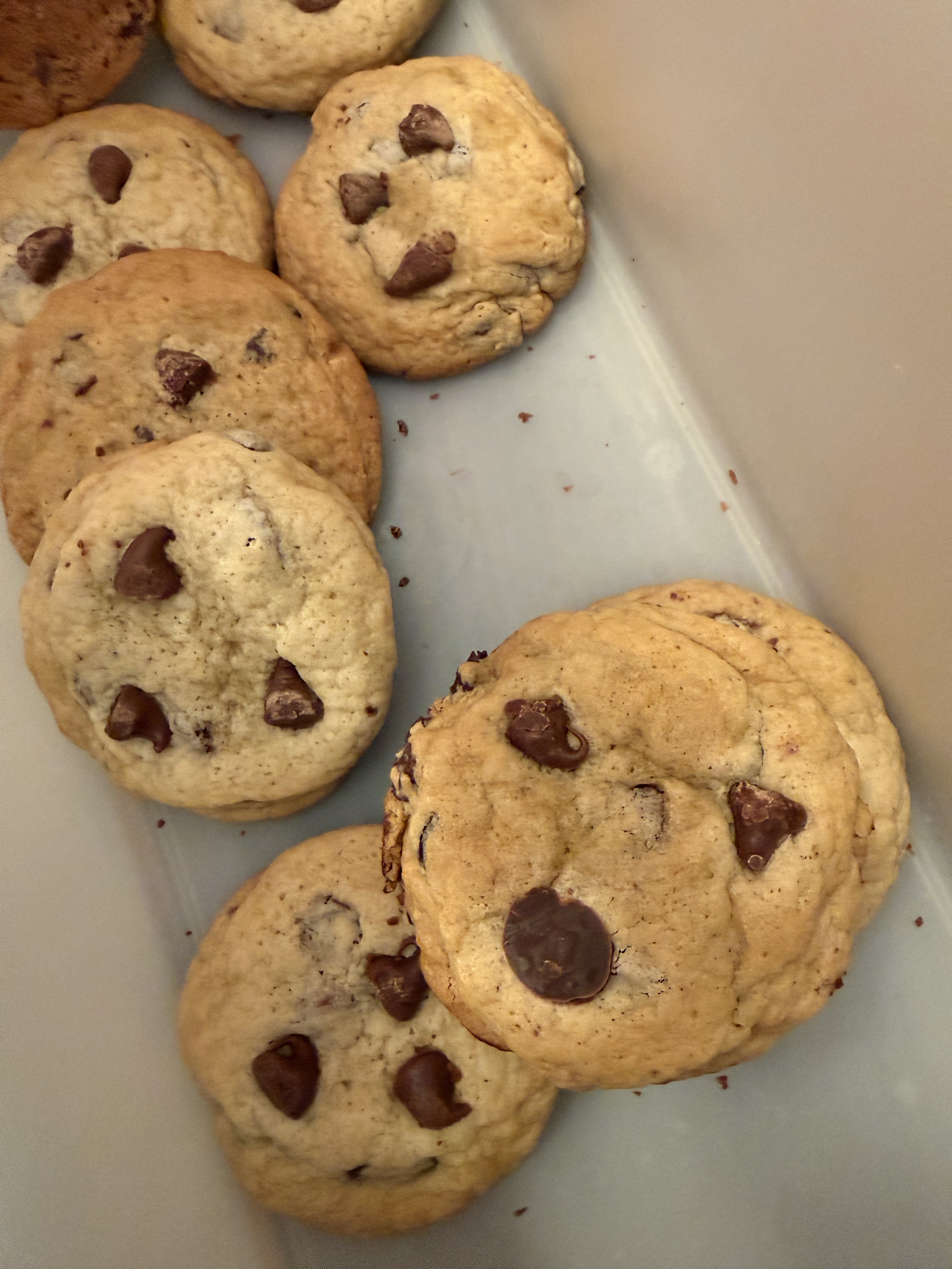 Chocolate Chip Cookies (6-pack)