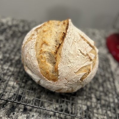 Regular Artisan Loaf