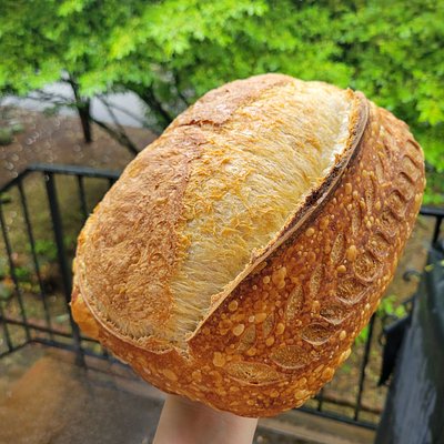 OG Sourdough Loaf