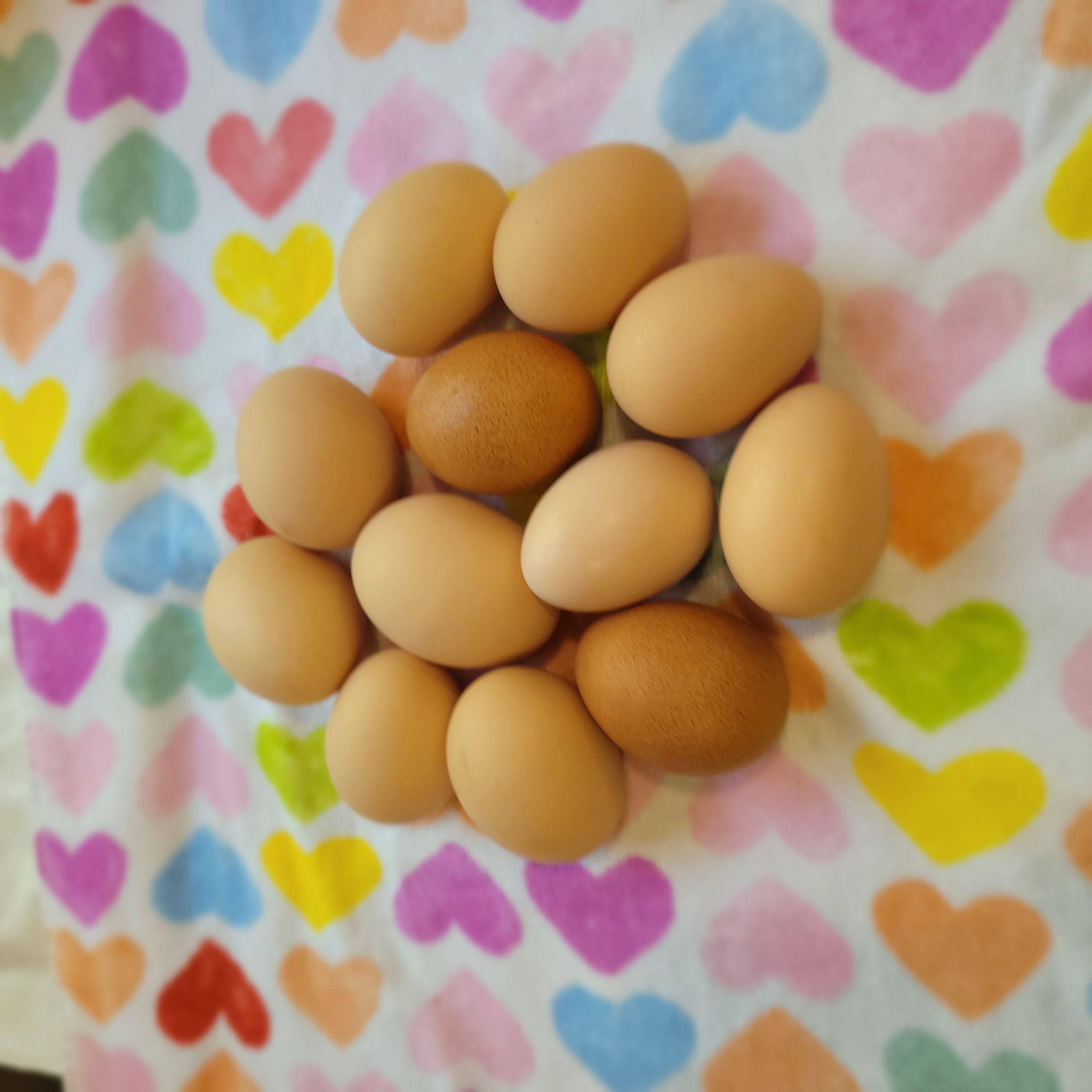 Farm fresh Eggs