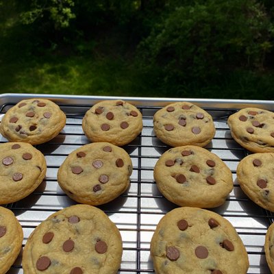 Box of Chocolate Chip Cookies