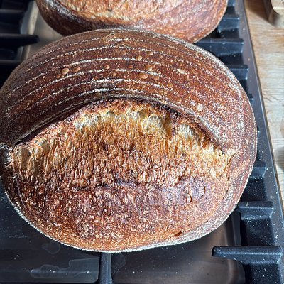 Country Loaf - 800g