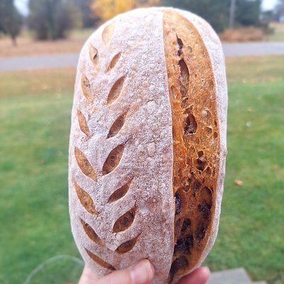  Bread Of The Month (Pumpkin Cranberry Pecan Sourdough) Sm Loaf 