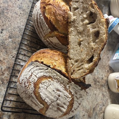 Sourdough