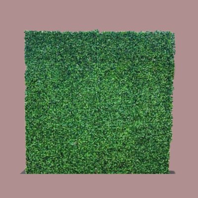 8x10 Grass Wall