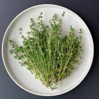 Organic German Thyme