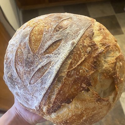 2 Classic Sourdough Loafs 