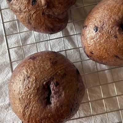 Bagel // Blueberry Sourdough Bagels