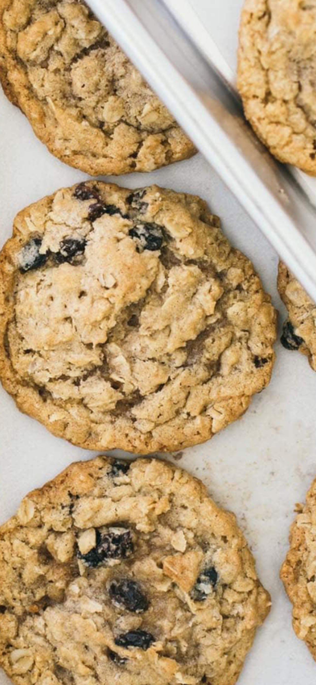 Oatmeal Raisin Cookies-12ct