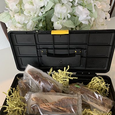 Cookies - Something For Dad - Chocolate Chip Cookies