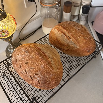 Rosemary Garlic Sourdough