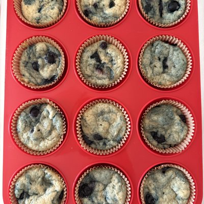 Sourdough Blueberry Muffins Two Pack
