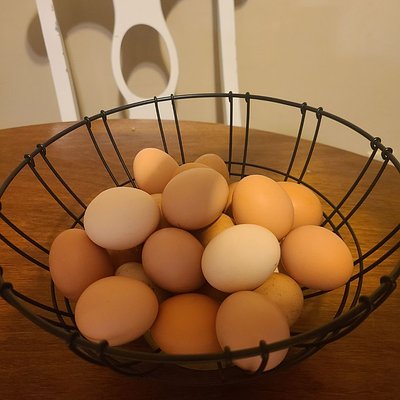 18 Chicken Eggs