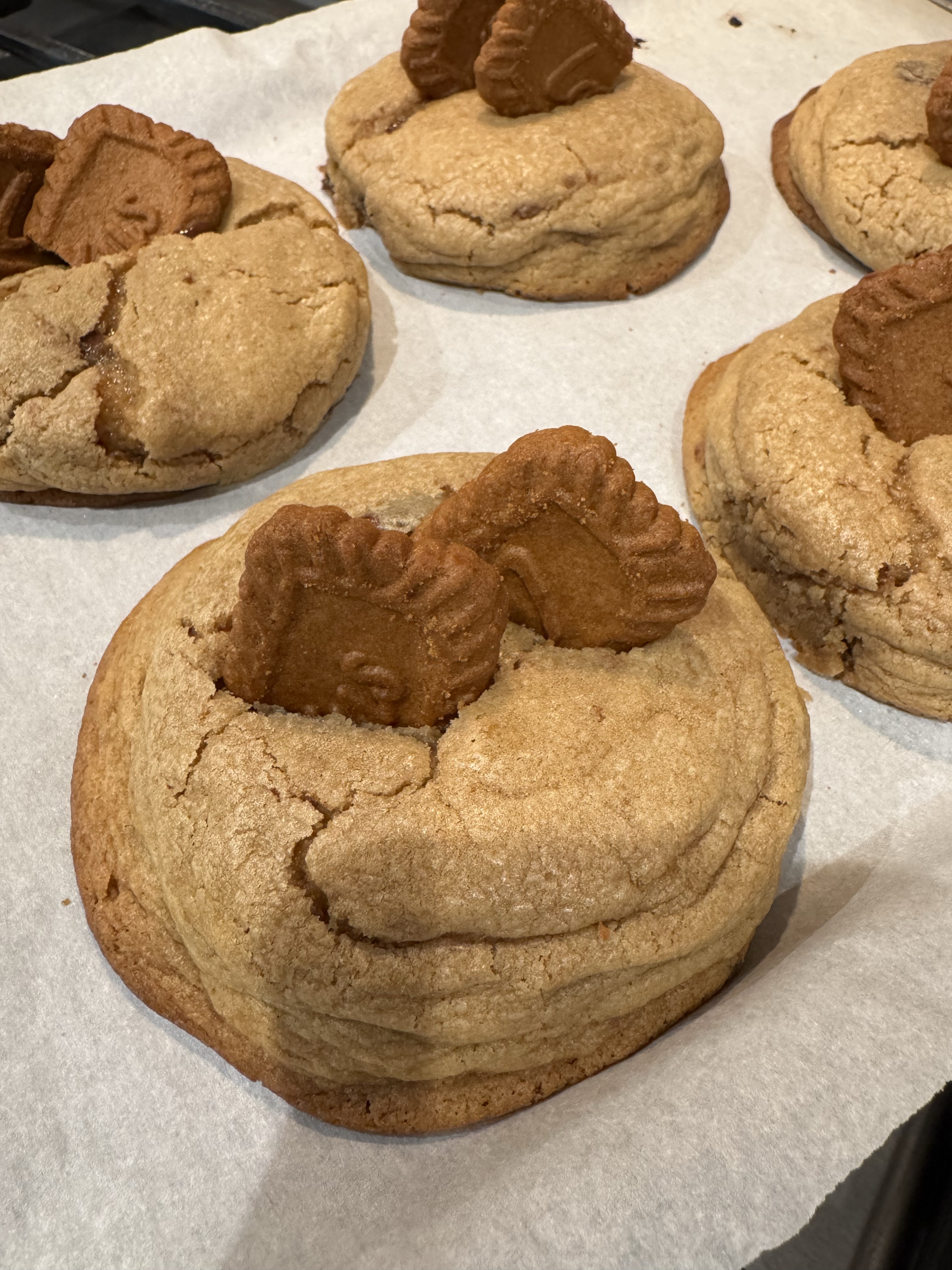 Biscoff Chocolate Chip Cookies 