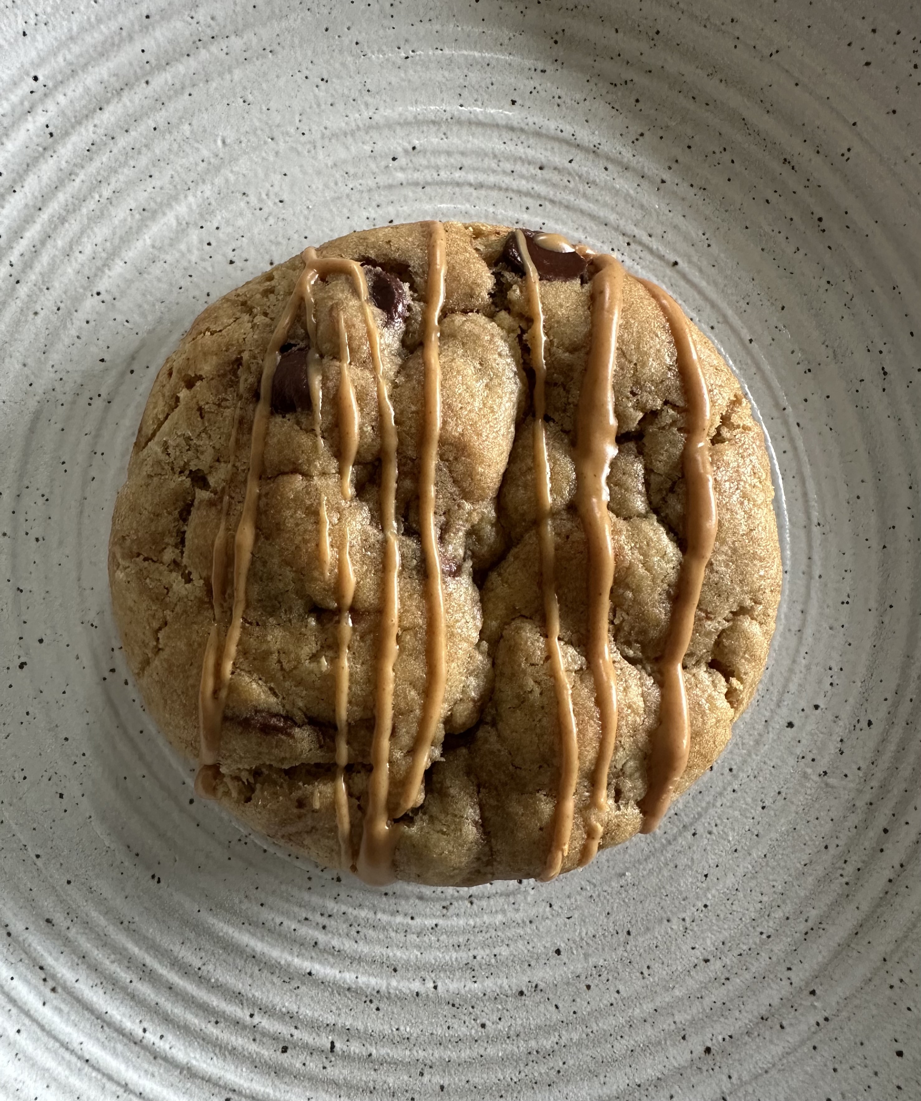 Chocolate Chip Peanut Butter Cookie