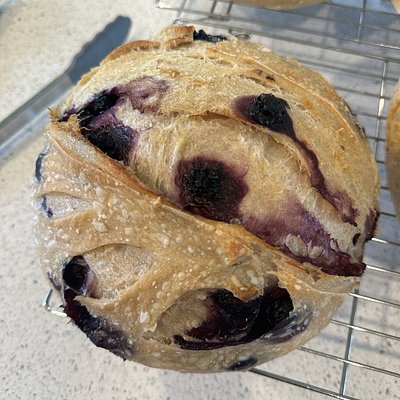 Limited *blueberry Lemon Sourdough