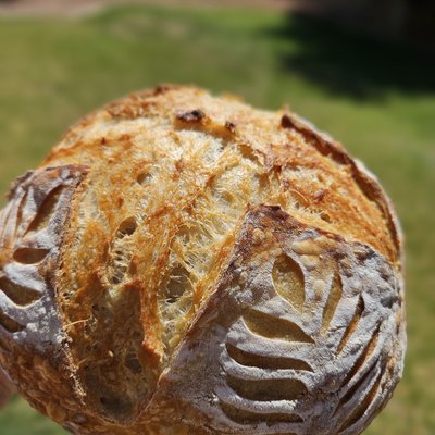 Classic Artisan Sourdough Boulle (Round) 