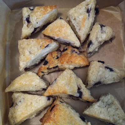 Blueberry Scones  - 12 