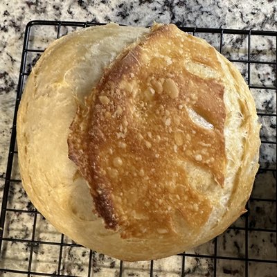 Plain Sourdough Loaf
