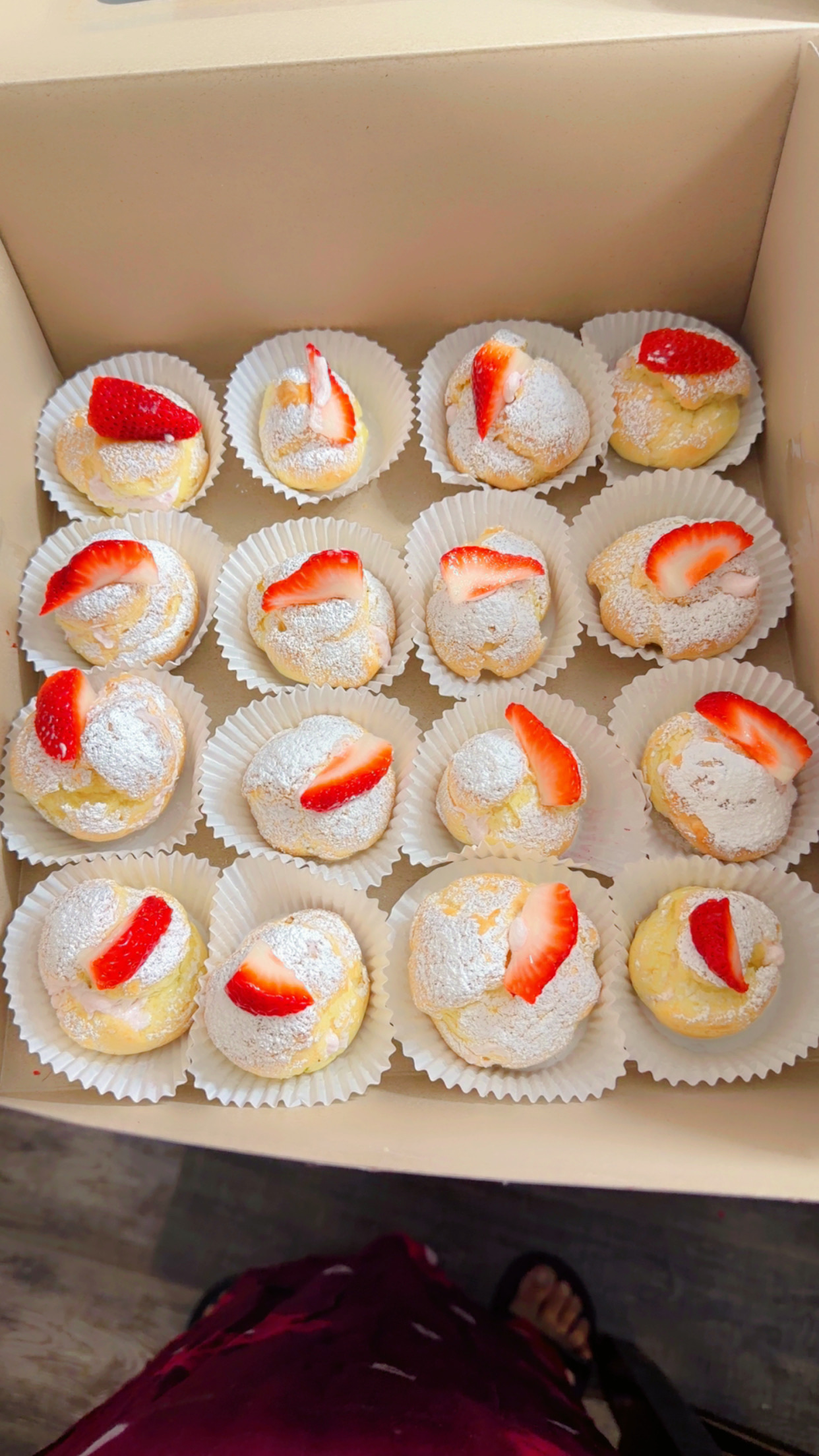 Cream Puff 