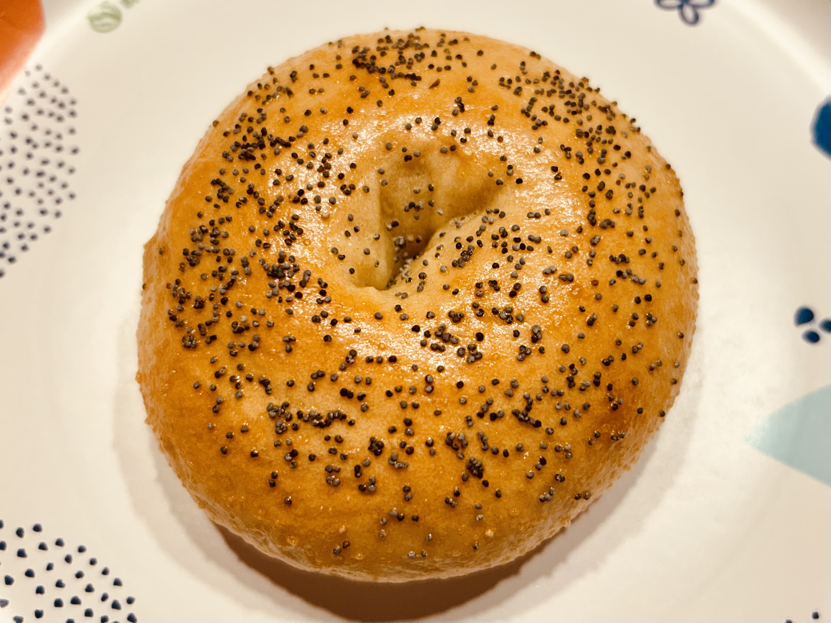 Poppy Seed Bagel