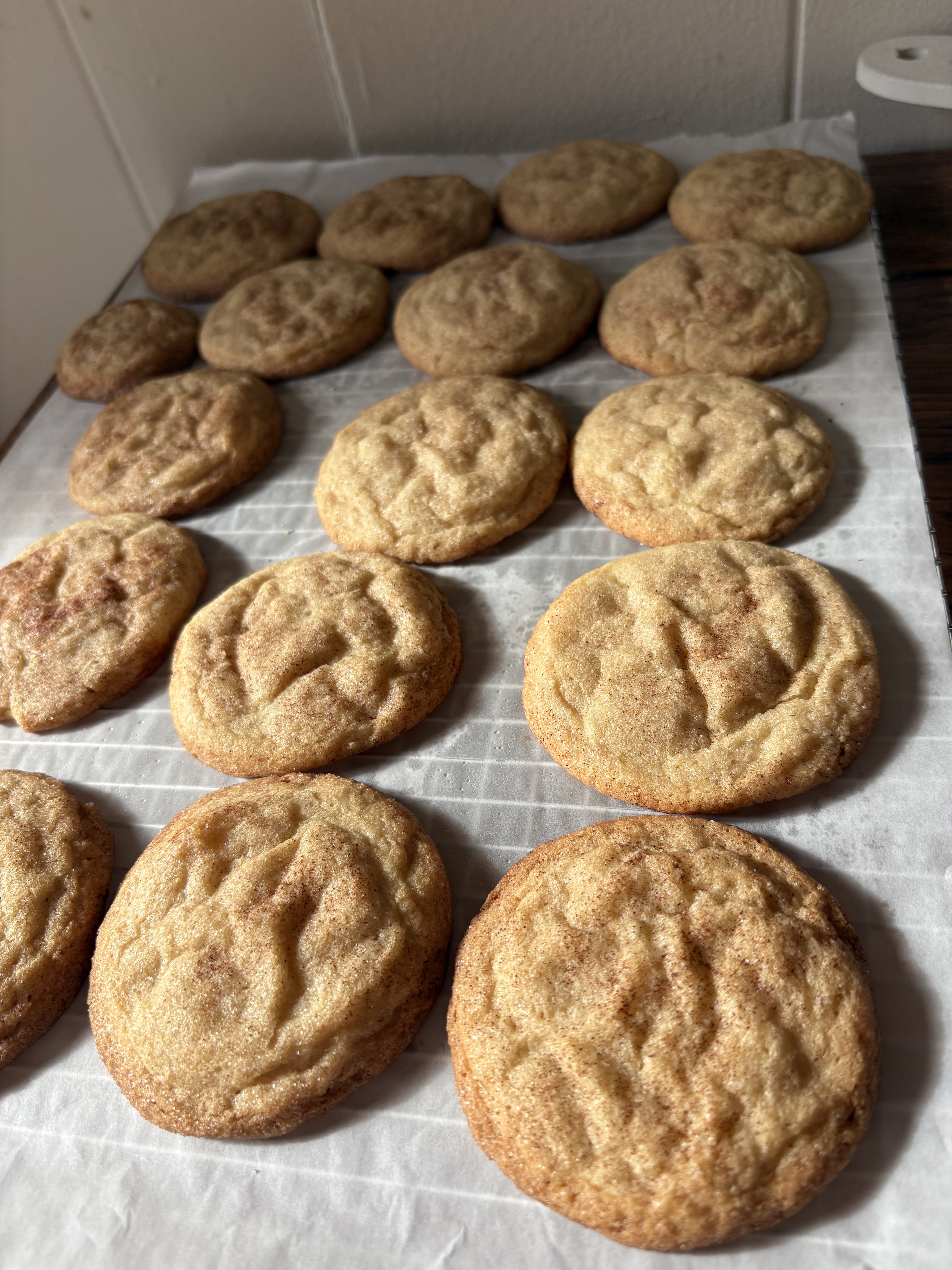 Sourdough Snickerdoodles