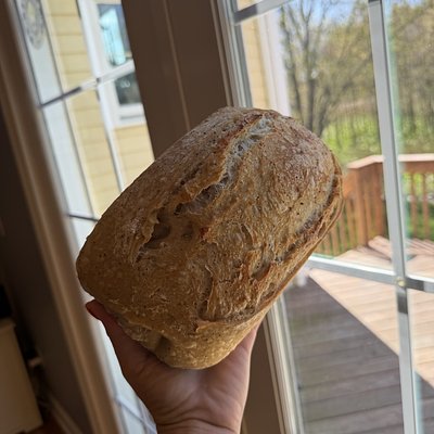 Everything Seasoning Sourdough 