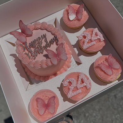 Bento Cupcake Box