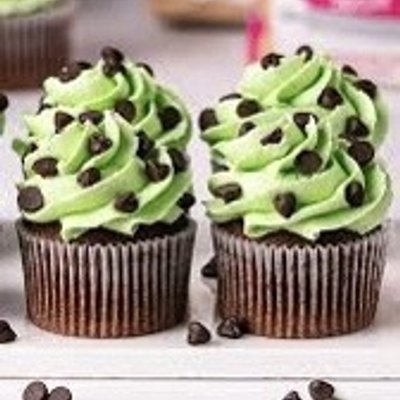 Mint Chocolate Chip