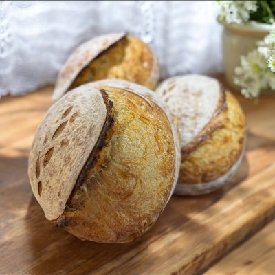 Classic Sourdough 